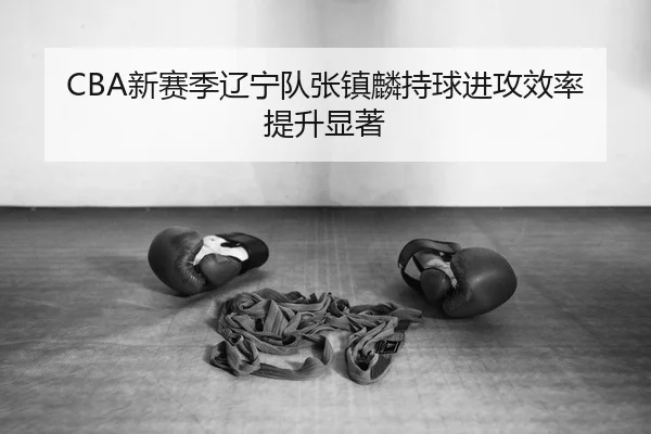 CBA新赛季辽宁队张镇麟持球进攻效率提升显著